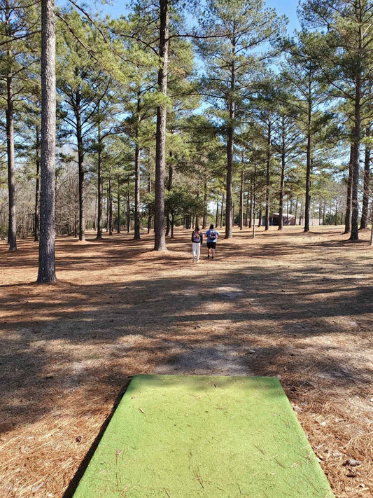 Why Did we create Elemental Disc Golf? - Elemental Disc Golf
